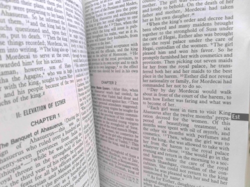 Actual Product Display 3