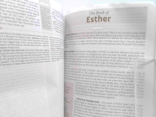 Actual Product Display 4