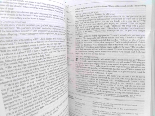 Actual Product Display 3