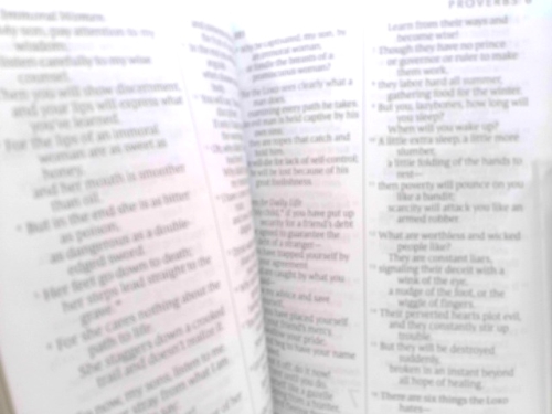 Actual Product Display 3