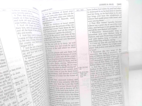 Actual Product Display 5