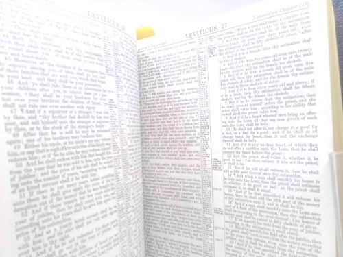 Actual Product Display 3