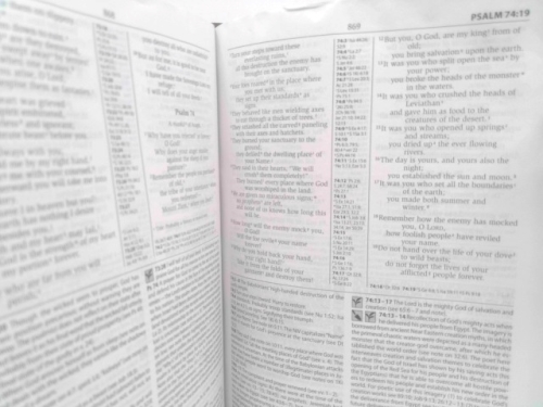 Actual Product Display 3