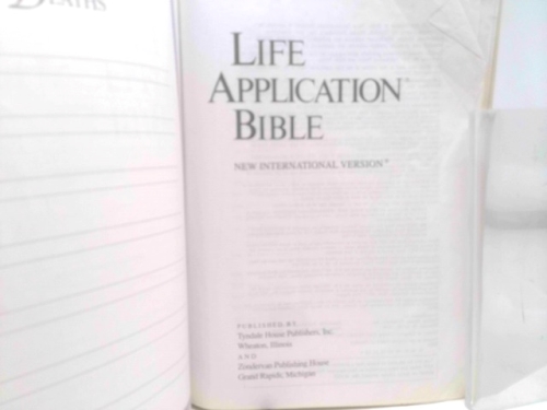 Actual Product Display 2