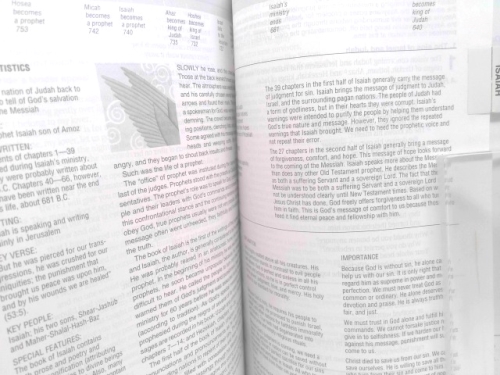 Actual Product Display 3