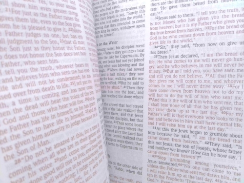 Actual Product Display 3