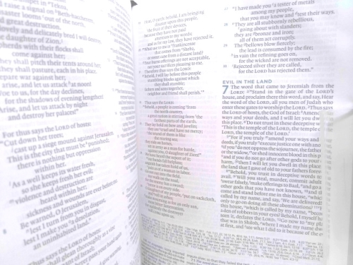 Actual Product Display 3