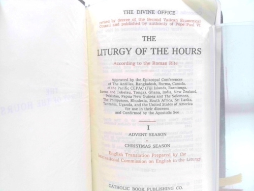 Actual Product Display 2