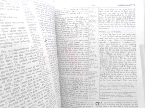 Actual Product Display 3