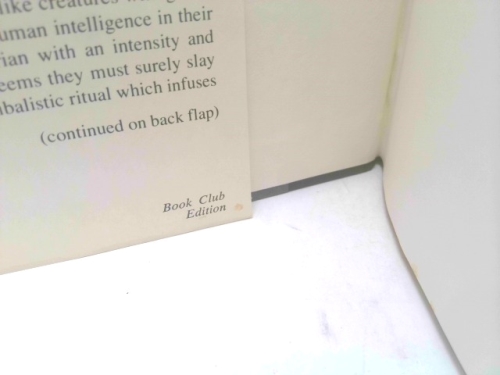 Actual Product Display 2