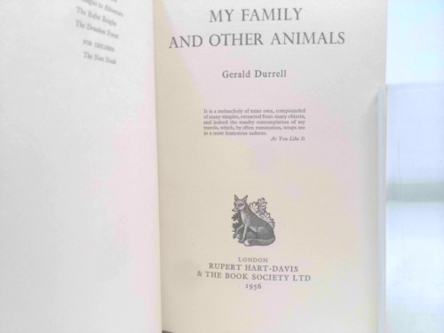 Actual Product Display 3