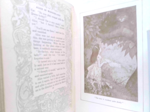 Actual Product Display 4