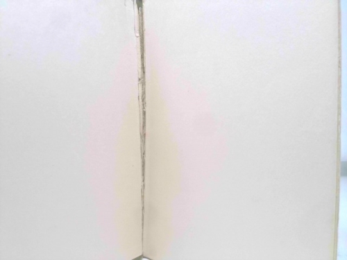 Actual Product Display 5