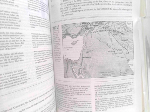 Actual Product Display 3