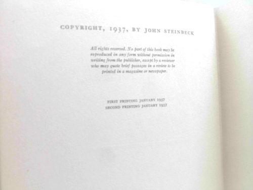 Actual Product Display 2