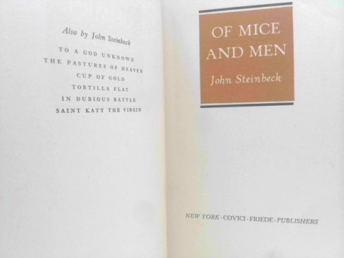 Actual Product Display 3