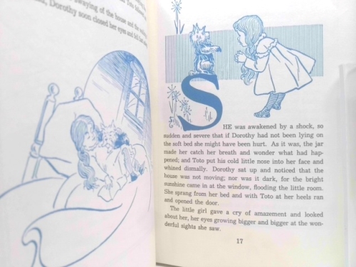 Actual Product Display 4