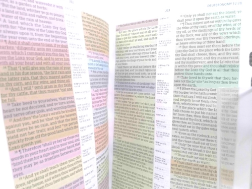 Actual Product Display 3