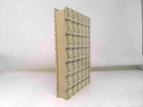 Actual Product Display 5