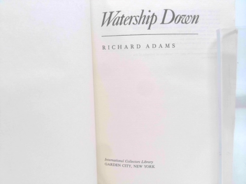 Actual Product Display 2