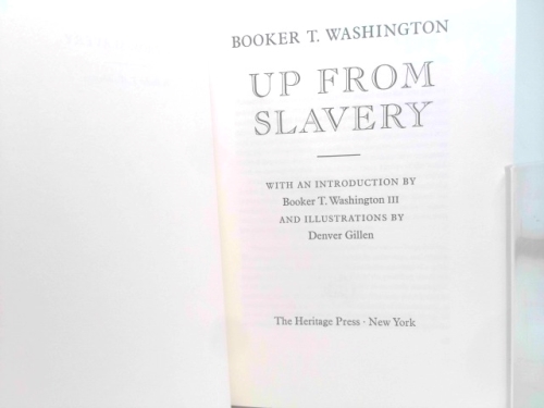 Actual Product Display 2