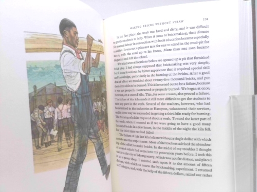 Actual Product Display 3