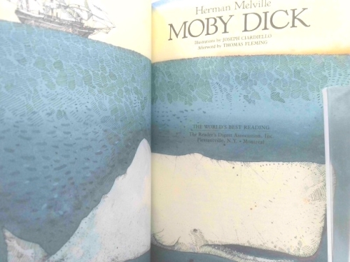 Actual Product Display 2