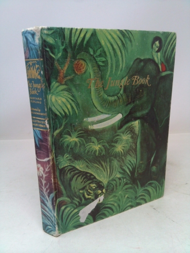 Actual Product Display Primary Cover