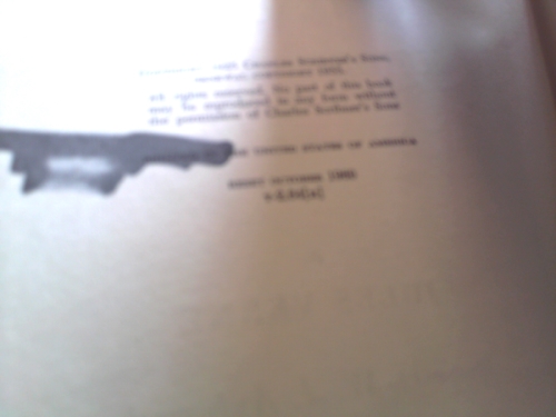 Actual Product Display 2