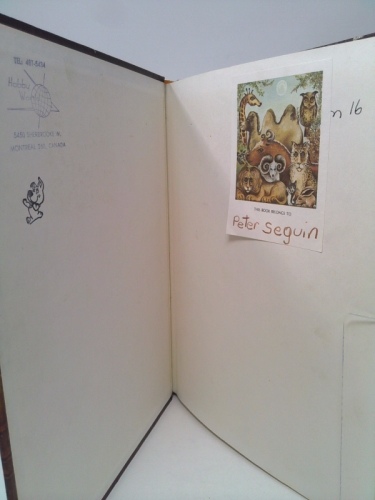 Actual Product Display 3