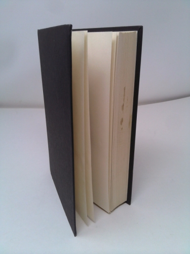 Actual Product Display 3