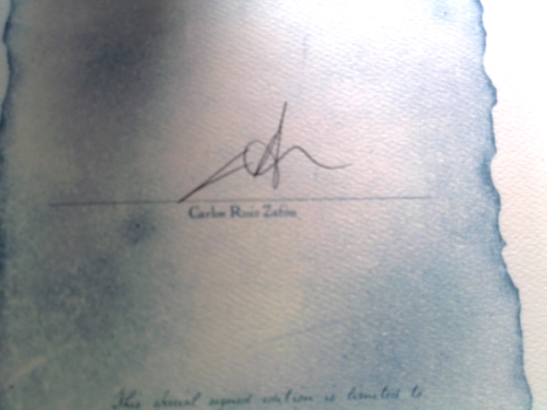 Actual Product Display 2