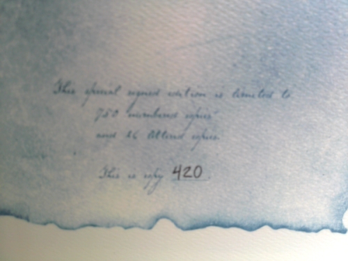 Actual Product Display 3