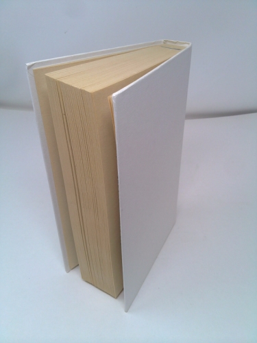 Actual Product Display 3