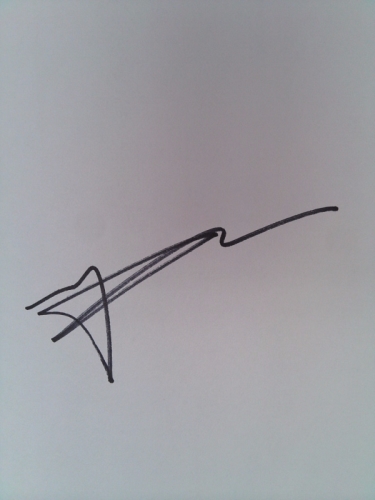 Actual Product Display 3