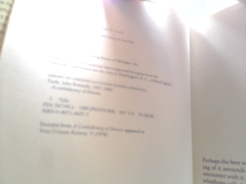 Actual Product Display 2