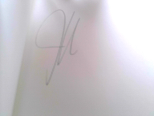 Actual Product Display 2