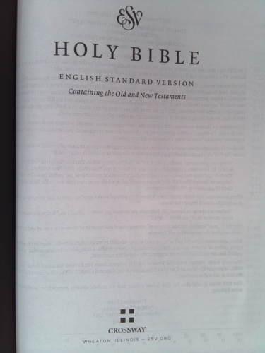 Actual Product Display 2