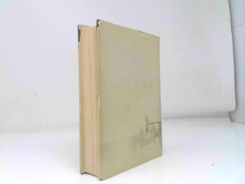 Actual Product Display 4