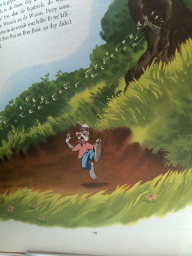 Actual Product Display 5