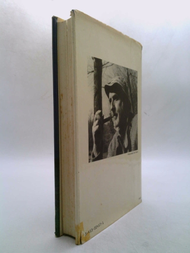 Actual Product Display 2