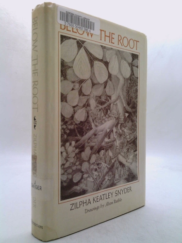 Actual Product Display Primary Cover