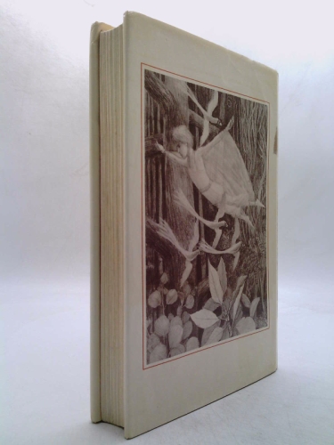 Actual Product Display 2