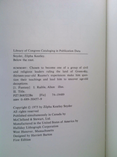 Actual Product Display 4