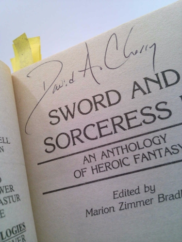 Sword and Sorceress IX