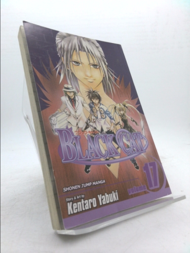 Black Cat, Volume 17