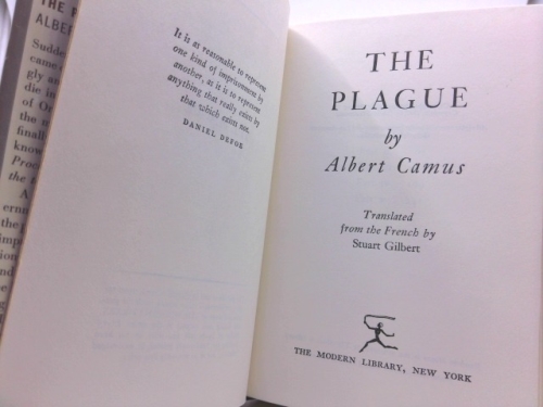 Actual Product Display 2