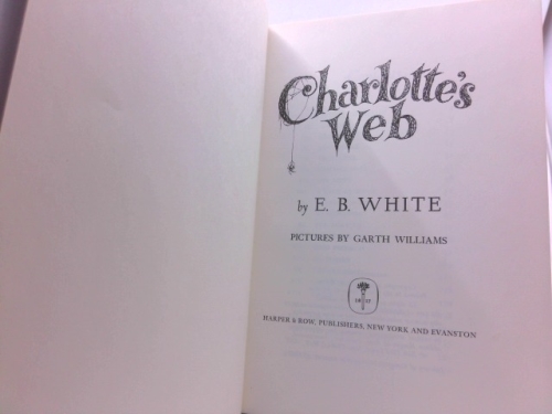 Actual Product Display 2