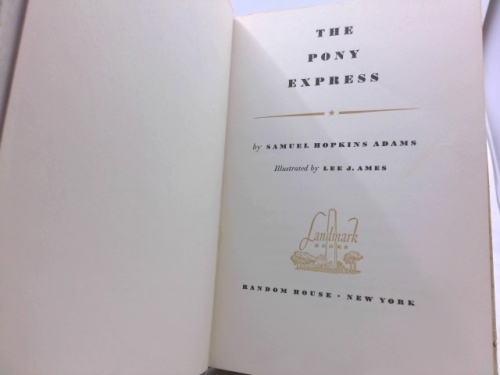 Actual Product Display 2