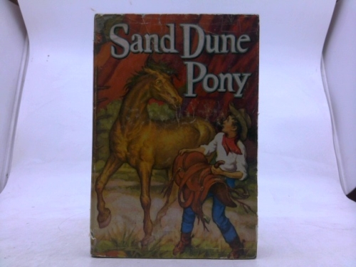Sand Dune Pony Mystery